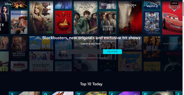 Security scan screenshot of https://secure.hulu.com