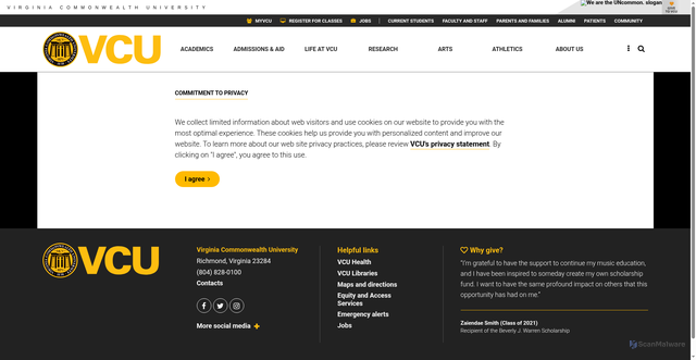 Security scan screenshot of https://www.masseycancercenter.org/patients-and-families/patient-resources-and-support-services/cancer-causes-and-risk-factors/