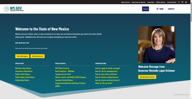 Security scan screenshot of https://www.nm.gov/