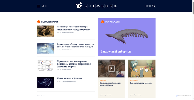 Security scan screenshot of https://elementy.ru