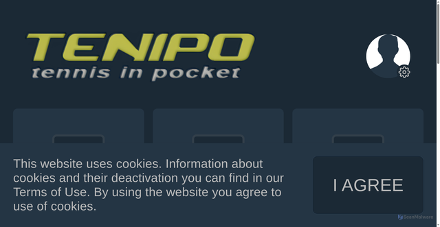 Security scan screenshot of https://tenipo.com/