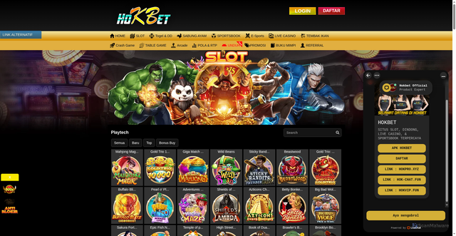 Security scan screenshot of https://hokwin.xyz/desktop/game/slot/playtech