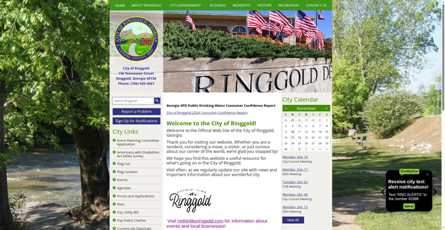 Security scan screenshot of https://cityofringgoldga.gov/