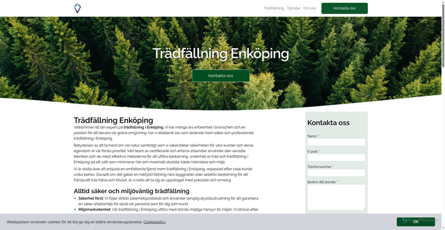 Security scan screenshot of https://tradfallningenkoping.se