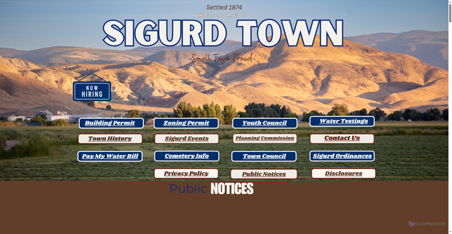 Security scan screenshot of https://sigurdtown.gov/
