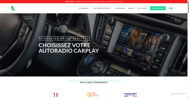 Security scan screenshot of https://elect-road.fr