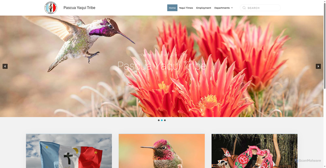 Security scan screenshot of https://www.pascuayaqui-nsn.gov/