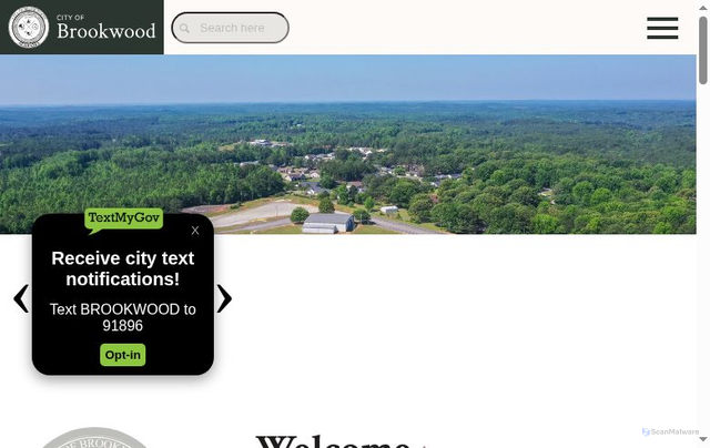 Security scan screenshot of https://www.cityofbrookwoodal.gov/