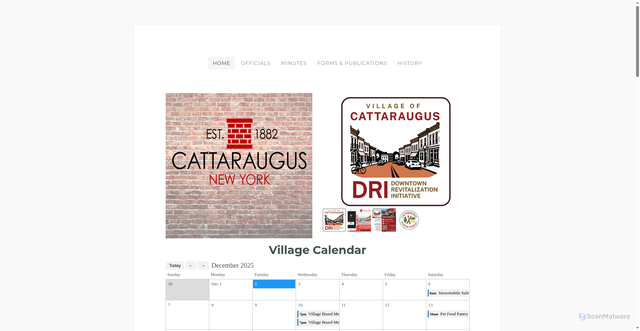 Security scan screenshot of https://www.villageofcattaraugus.gov/