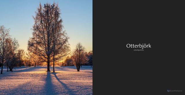 Security scan screenshot of https://otterbjork.se