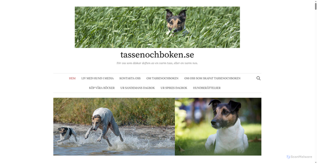 Security scan screenshot of https://tassenochboken.se