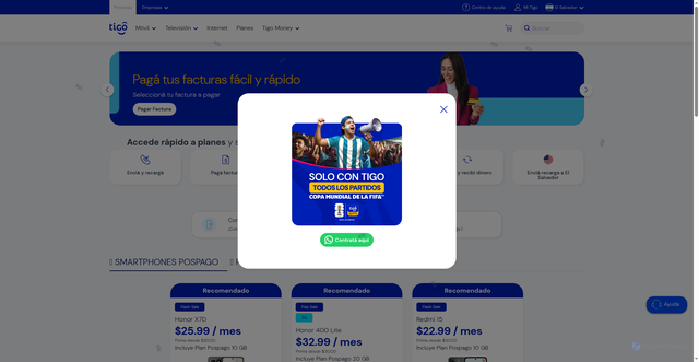 Security scan screenshot of https://tigosrwvp.help/