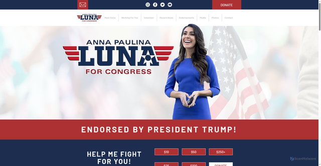 Security scan screenshot of https://www.voteannapaulina.com/