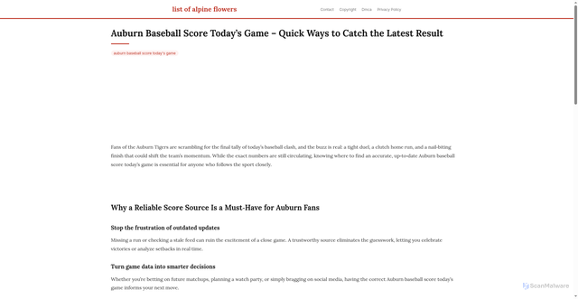 Security scan screenshot of https://vistalokalflow-dpmdyp2ylod7.edgeone.app/auburn-baseball-score-todays-game.html