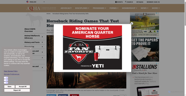Security scan screenshot of https://www.aqha.com/-/horse-games
