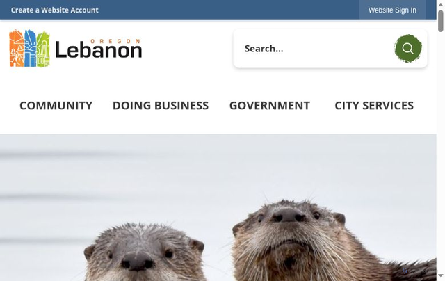 Security scan screenshot of https://lebanonoregon.gov/