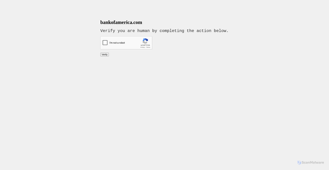 Security scan screenshot of https://challenge.human.mittalslabglassware.com/zzd.html#/bankofamerica.well-known/acme-challenge/RbotokRMTTHbFwuVlL1fFTkRw4I2hwfVYzckUH8whpTPBlILku8y
