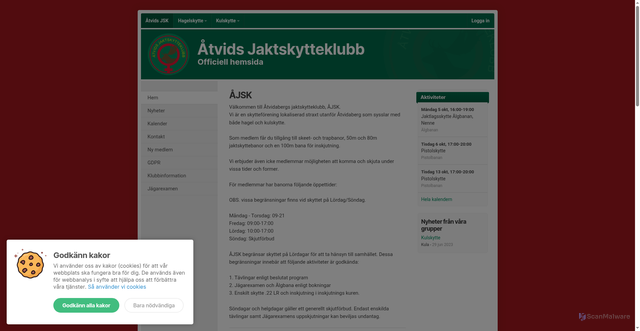 Security scan screenshot of https://xn--tvidsjsk-8za.se