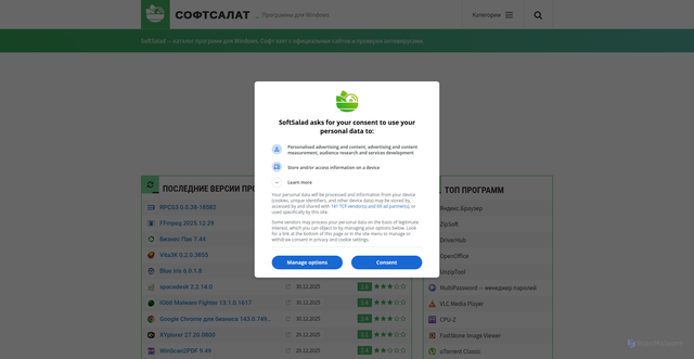Security scan screenshot of https://softsalad.ru