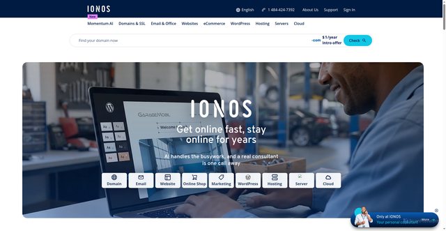 Security scan screenshot of https://ionos.com