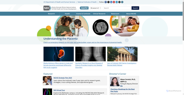 Security scan screenshot of https://nichd.nih.gov