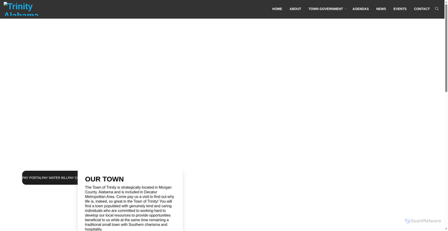 Security scan screenshot of https://trinityal.gov/