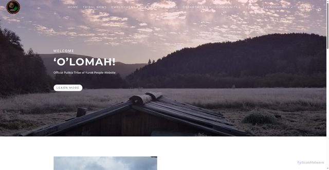 Security scan screenshot of https://puliklatribe.gov/