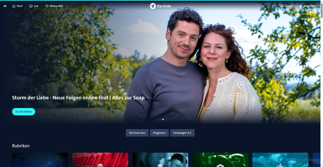 Security scan screenshot of https://daserste.de