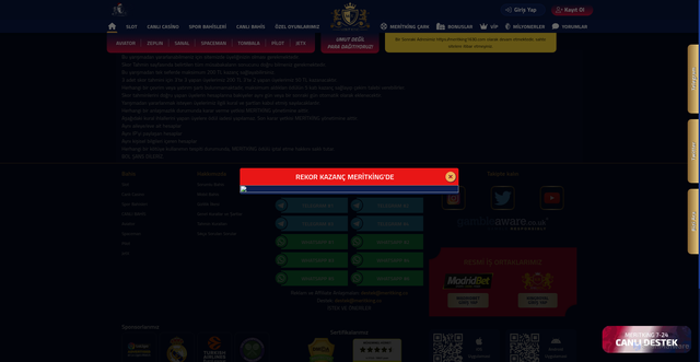 Security scan screenshot of https://mwritking1695.com/scorerules
