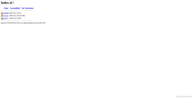 Security scan screenshot of https://ingresovalidacion-ar.sbs