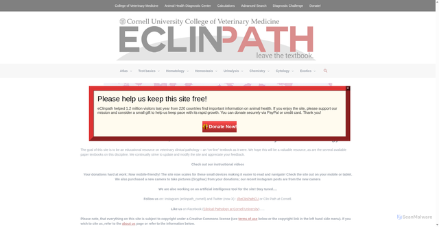 Security scan screenshot of https://eclinpath.com