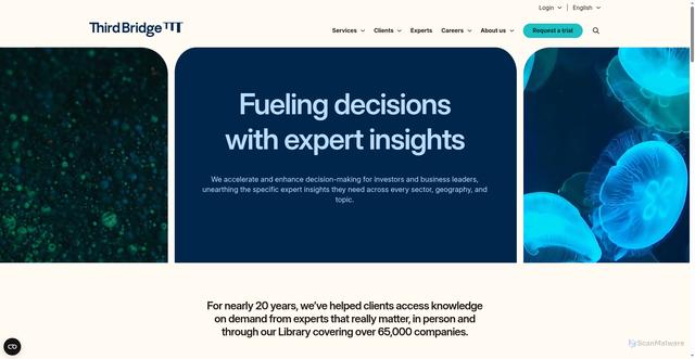 Security scan screenshot of https://thirdbridge.com