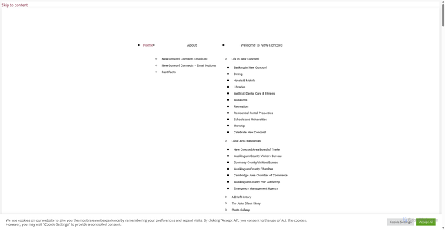 Security scan screenshot of https://newconcord-oh.gov/