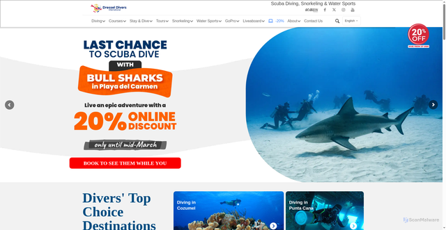 Security scan screenshot of https://dresseldivers.com