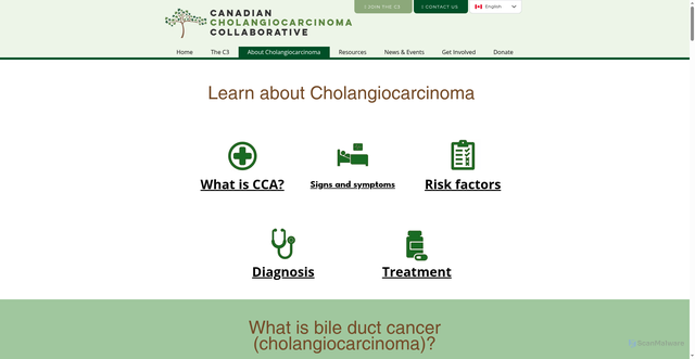 Security scan screenshot of https://www.cholangio.ca/learn/about-cca