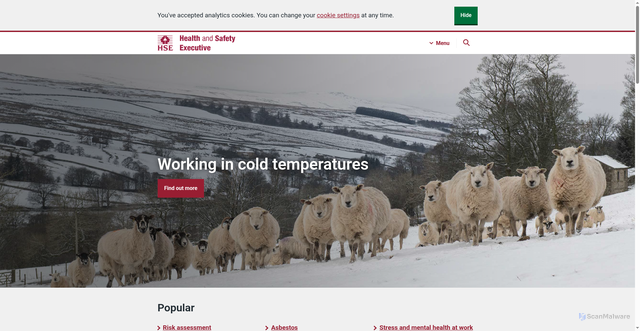 Security scan screenshot of https://www.hse.gov.uk/