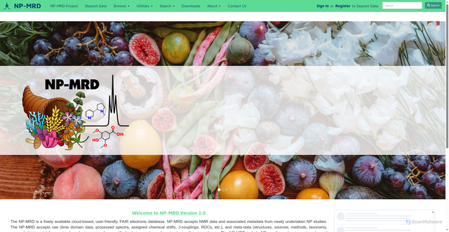 Security scan screenshot of https://np-mrd.org