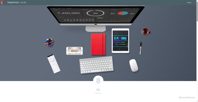 Security scan screenshot of https://maplehaze.cn