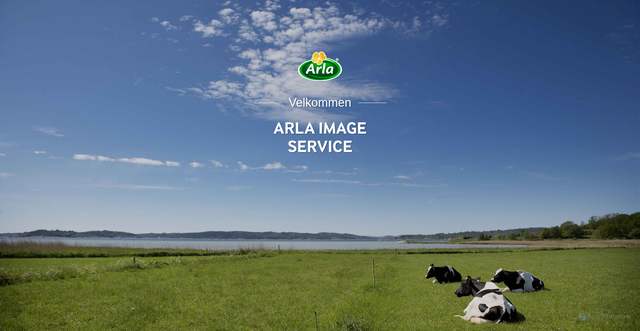 Security scan screenshot of https://images.arla.com