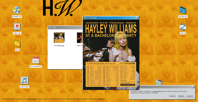 Security scan screenshot of https://www.hayleywilliams.net/