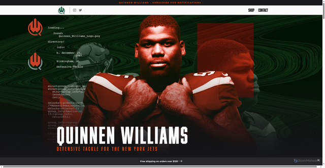Security scan screenshot of https://quinnenwilliams.com/