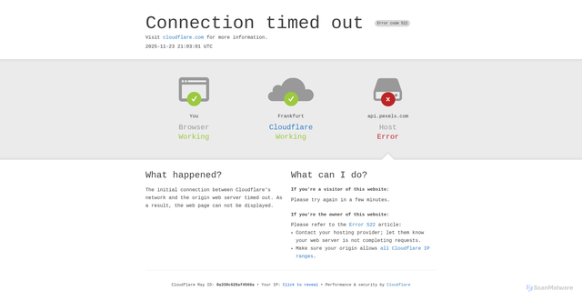 Security scan screenshot of https://api.pexels.com/