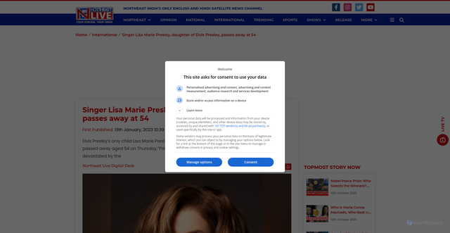 Security scan screenshot of https://northeastlivetv.com/topnews/singer-lisa-marie-presley-daughter-of-elvis-presley-passes-away-at-54/