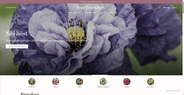 Security scan screenshot of https://palettparadiset.se