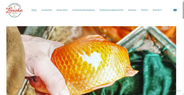 Security scan screenshot of https://cityoflonokear.gov/