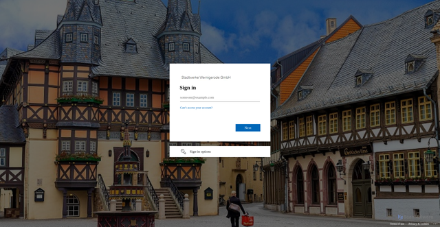 Security scan screenshot of https://netzinformationssystem.stadtwerke-wernigerode.de/