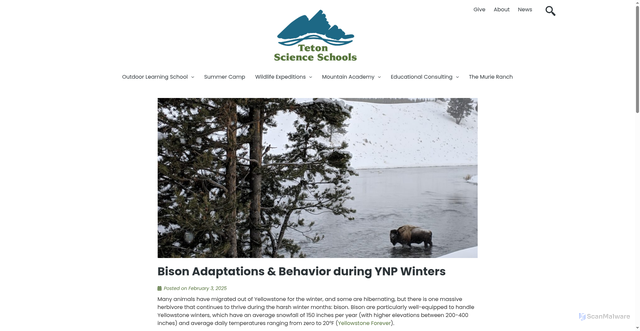Security scan screenshot of https://www.tetonscience.org/bison-adaptations-behavior-during-ynp-winters/