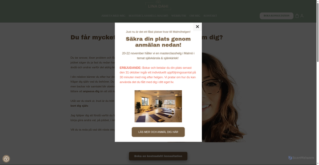Security scan screenshot of https://linadahi.se