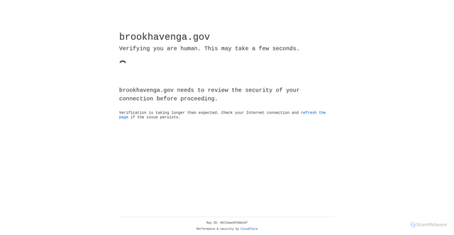 Security scan screenshot of https://brookhavenga.gov/