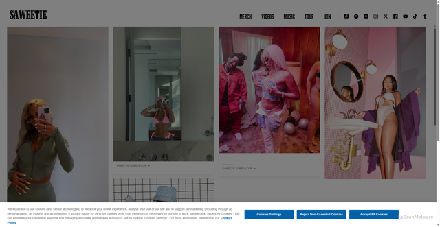 Security scan screenshot of https://www.saweetie.com/